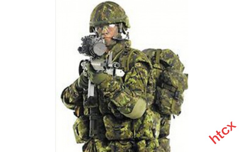 陸軍武器裝備作戰試驗與評估技術(試驗總體與評估技術)